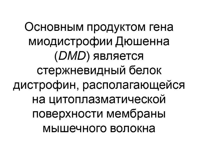 Основным продуктом гена миодистрофии Дюшенна (DMD) является стержневидный белок дистрофин, располагающейся на цитоплазматической поверхности